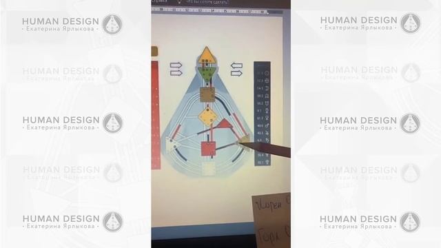 Открытый Корневой центр Дизайн Человека. «Корневой Мотор», его особенности и отличия — Human Design