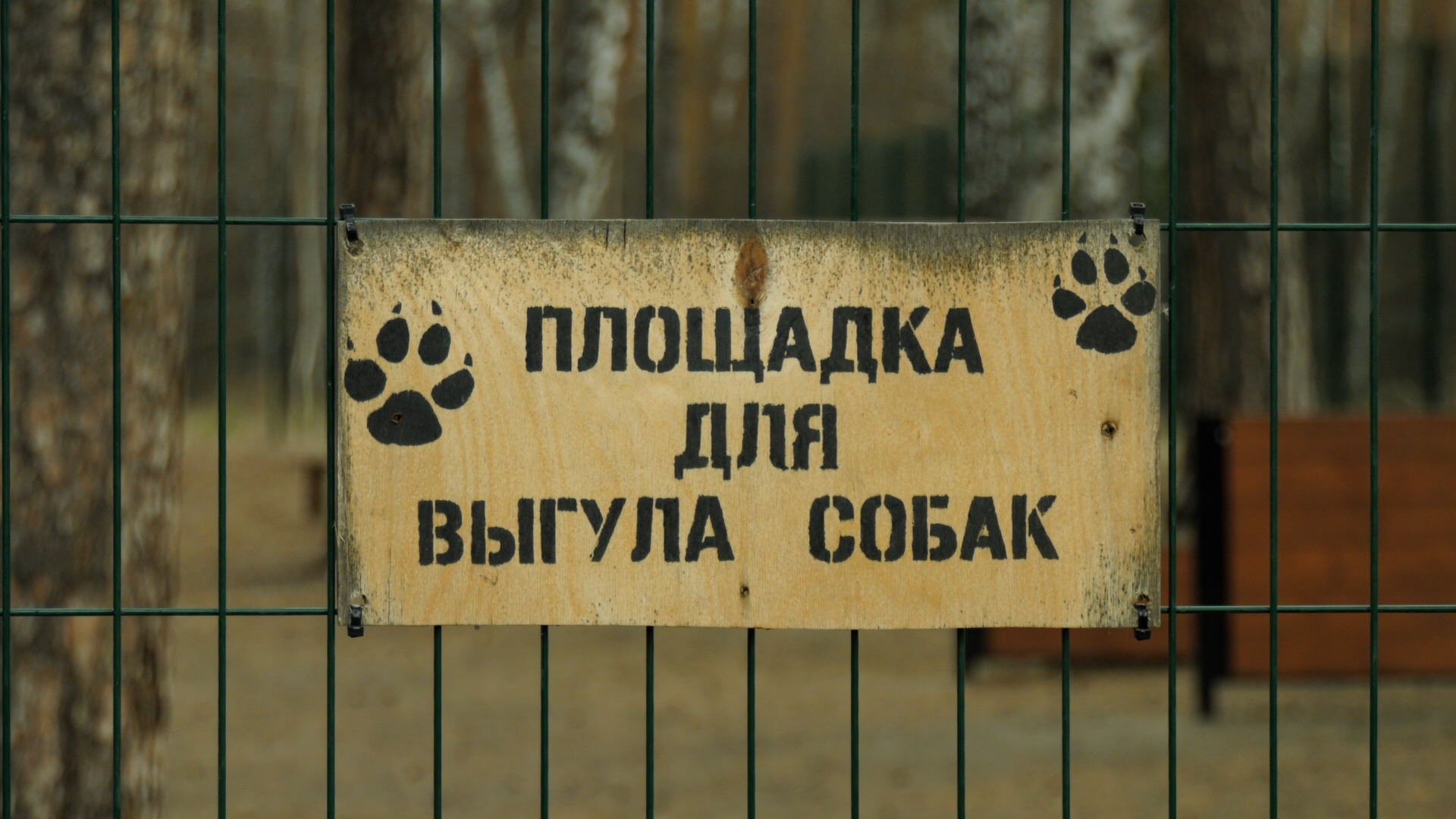 Вакцинация против бешенства на площадке для выгула собак смотреть онлайн