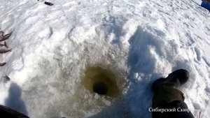 Этот Сазан Сделал Мой День/Рыбалка Озеро Чаны