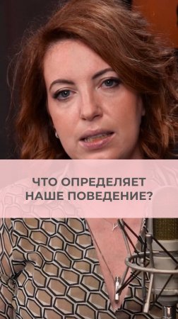 Что определяет наше поведение?