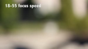 Canon 18-55 vs 55-250 STM Lenses