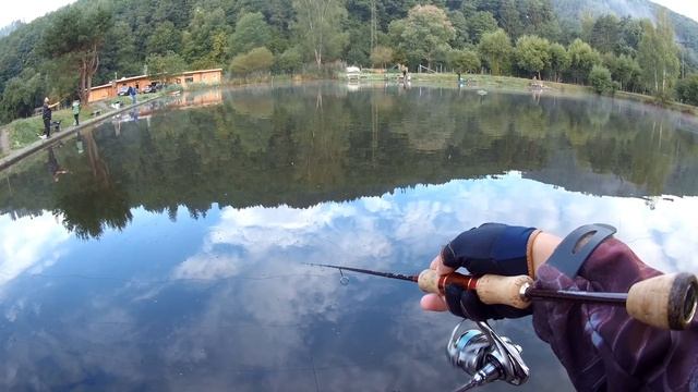 Прудовая форель/Старт осеннего сезона/Форель на блёсны "Forest" "Valkein" "Antem"!