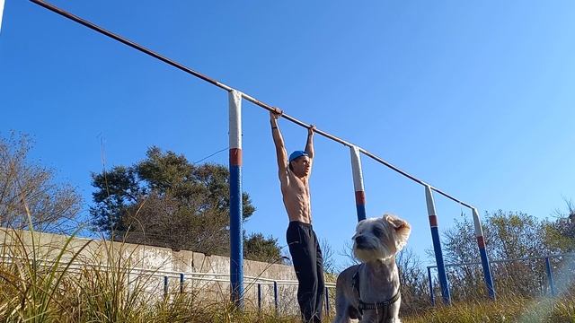 Подтягивания каждый день | День 20 смотреть онлайн