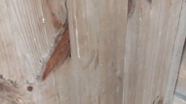 К нам пришла зима в5 смотреть онлайн