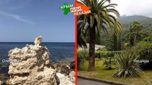 Оленевка и Пицунда | Сравниваем природу. Крым или Абхазия - что лучше?