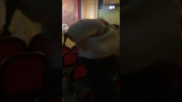 Эстонский театр драмы смотреть онлайн