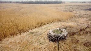 Река Молочная. В поисках родников. Мелитополь.