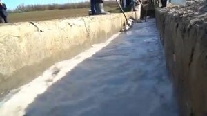 Как купают овец в Дагестане. Познавательное видео