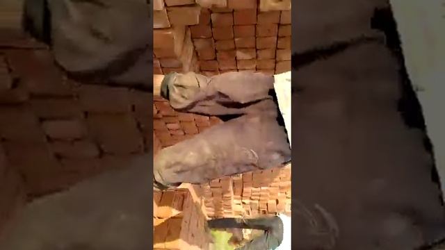 Bricks Loading at Brick Kiln (Bhatta)