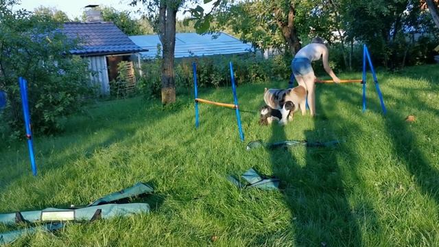 Моя болтовня о самостоятельных тренировках на даче | палки летают смотреть онлайн