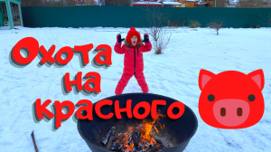 Охота на Красного Кабана ? #надаче