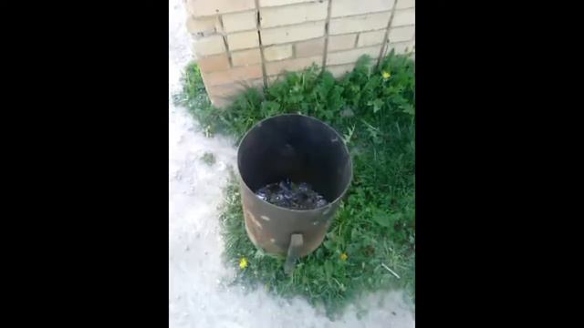 Когда попал в мусорку (Vine by Roma Tolkachev) смотреть онлайн