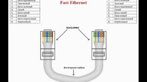 Локальная сеть | физическая среда | Витая пара | Оптический кабель