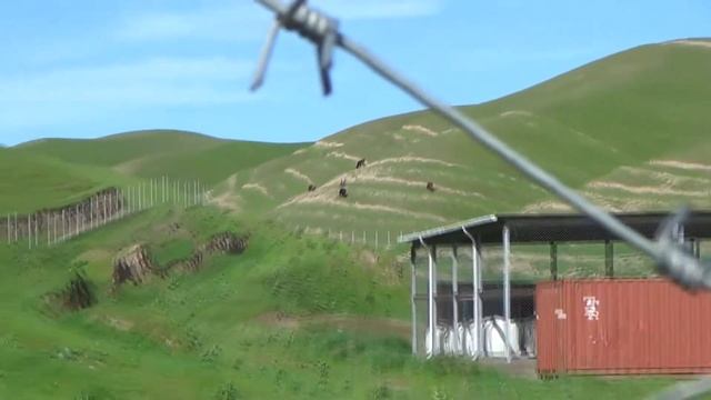 Вахшский могилник ядохимикатов смотреть онлайн