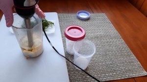 Майонез из аквафабы. МАЙОНЕЗ БЕЗ ЯИЦ.Самый Вкусный Домашний Майонез