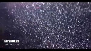 Нафкат Нигматуллин «Тынлачы, сандугач» (татарская музыка))