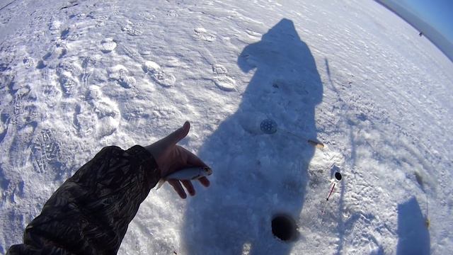 Котовское смотреть онлайн