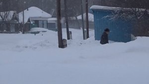 Трактор с дровами. Буксует по снегу.