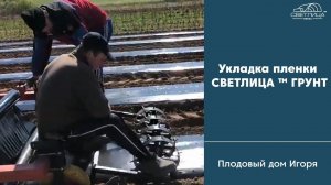 Укладка и перфорация пленки для мульчирования СВЕТЛИЦА ™ ГРУНТ на грядах | Плодовый дом Игоря