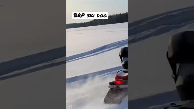 Суета на BRP ski doo