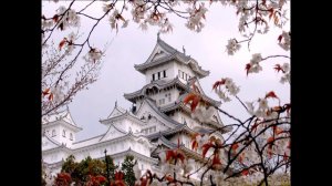Тохоку - край цветущей Сакуры
