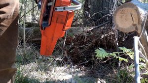 Бензопила Хускварна 257 - внешний вид