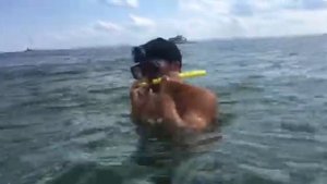 Акулы в Чёрном море: Болгария 2019