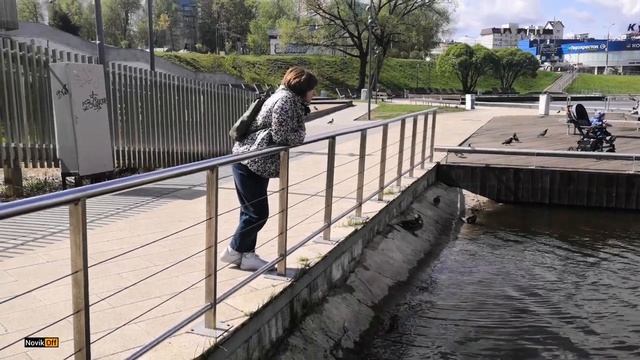 Видное, пруд, уточки._HD.mp4 смотреть онлайн