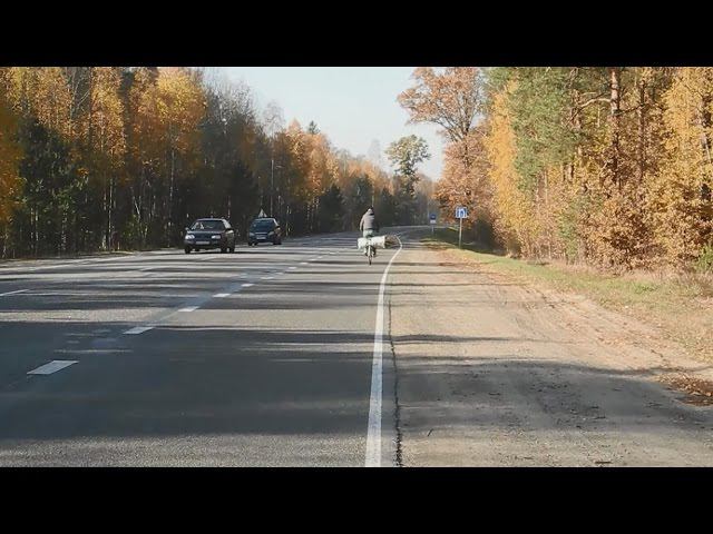 Как без риска пересадить куст смородины ч.2 смотреть онлайн