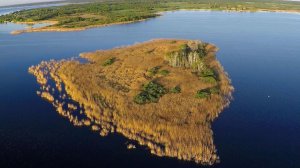 Цапли и бакланы - Озеро Лукомльское - Беларусь