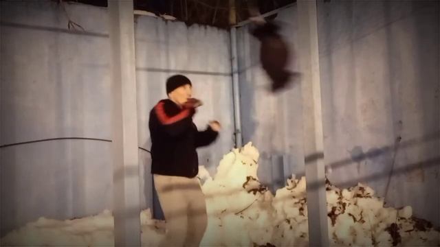 Работа на боксерской груше на растяжках