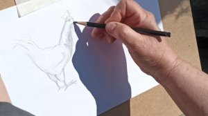 Мастер-класс зарисовки петуха различными материалами, пленэр