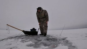 первая проверка подледных жерлиц  2.02.2020 г отличная рыбалка.