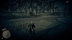 Карта сокровищ Болото Блюуотер (все места) в Red Dead Redemption 2 Online PC