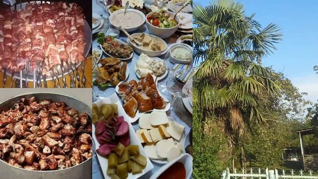 Бизнес на Йоркширской породе свиньей.
