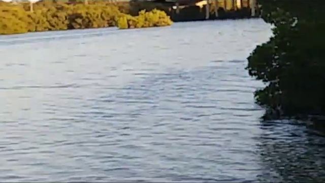 США. Снимаем МАСКИ, надеваем КАСКИ! смотреть онлайн