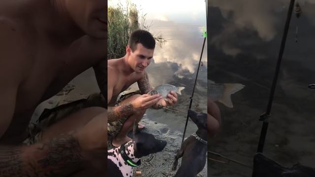 #shots #рыбалка #отдыхдикарями  ловим рыбу смотреть онлайн
