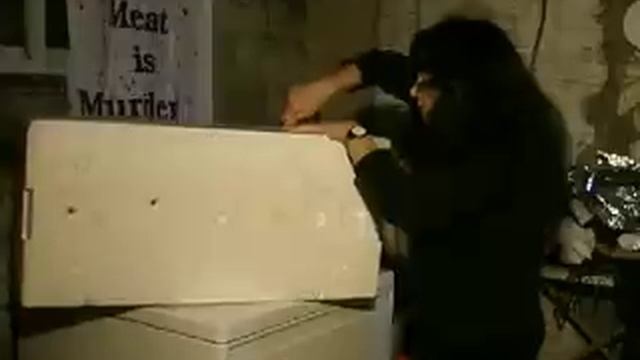 Feral Cat Shelter - Cheap and Easy Part 1