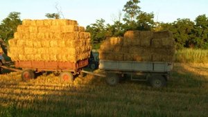 Пресс-подборщик FORTSCHRITT (Фортшрит) К454 трактор МТЗ80 Беларус 920