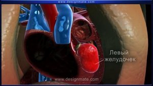 Учебные фильмы Eureka по биологии.