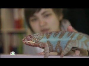 "Чудо техники". Выпуск от 7 февраля 2016 года