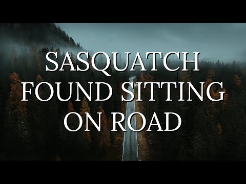 Couple Encounters Sasquatch Sitting in the Middle of the Road Near Denali