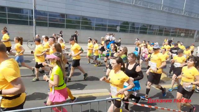 Польша Познань Всемирный забег Wings for Life смотреть онлайн