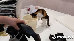 пошаговая перетяжка руля