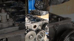 Метки ДВ, KUBOTA 2203-D1-EU4