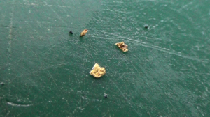 Нашёл золото в ручье! Красивое какое!