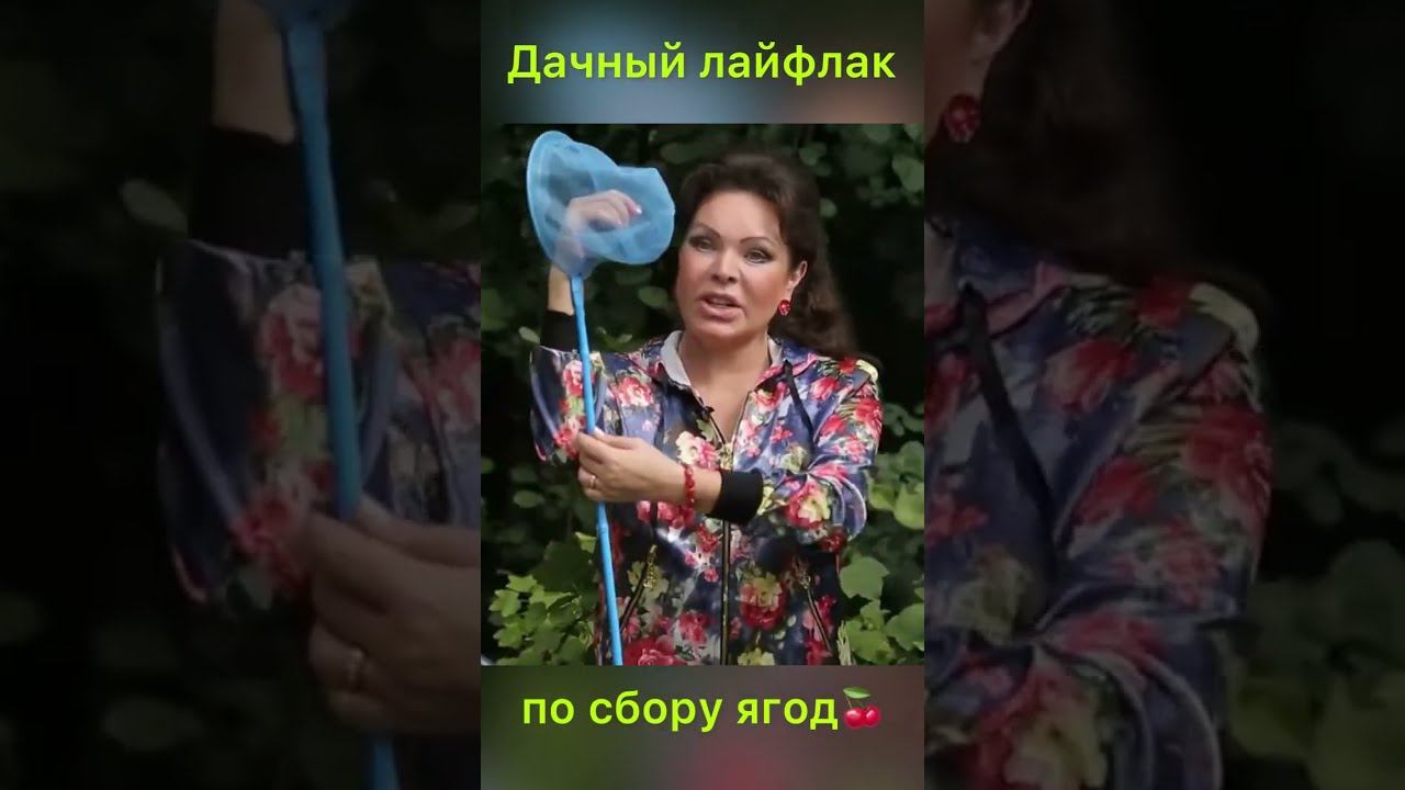 Телеканал Бобёр на RUTUBE: 2810 видео – смотреть онлайн и бесплатно ...