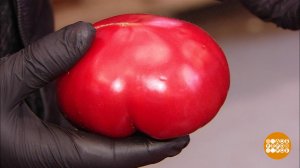 Где ты, сладкий помидор? Доброе утро. Фрагмент выпуска от 04.06.2020