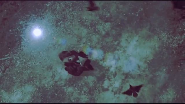 АВЕ ГЕКАТА ТРИВИЯ…ВЕДЬМИНА ИЗБА смотреть онлайн