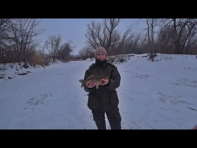 ЛОВИМ КРУПНОГО ЗИМНЕГО КАРАСЯ СО ЛЬДА
